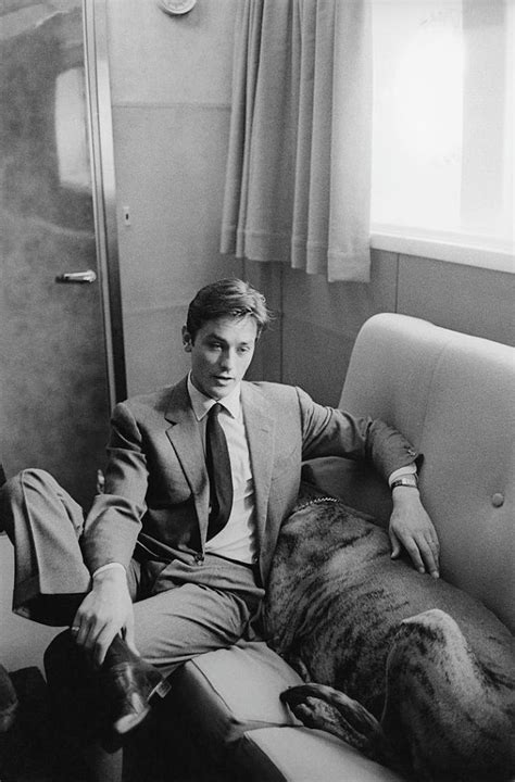 Vintage Photos of Alain Delon With His Dogs in the 1960s ~ Vintage Everyday