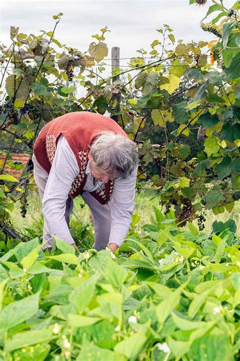 How Senior Citizens Can Benefit From Gardening | Gardener's Path