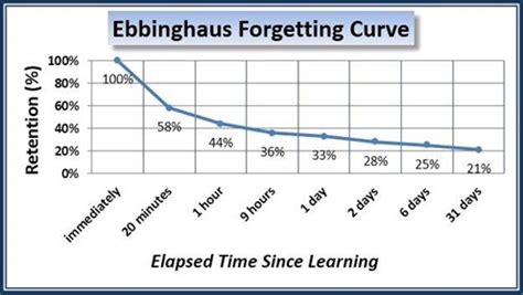 Why Google Has Forever Changed the Forgetting Curve at Work