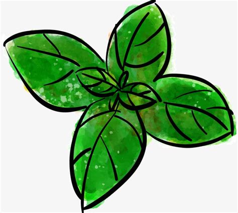 Mint Leaf Clip Art | Free download on ClipArtMag