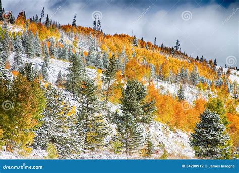 Colorado Rocky Mountain Snowy Autumn Colors Stock Photo - Image of ...