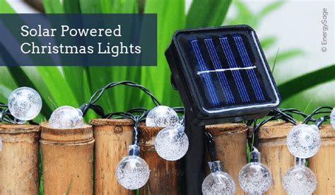 Solar Christmas Lights: Are They Worth It? | EnergySage