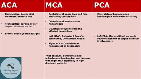 Which symptoms correlate with which cerebral artery? | Nursing school ...