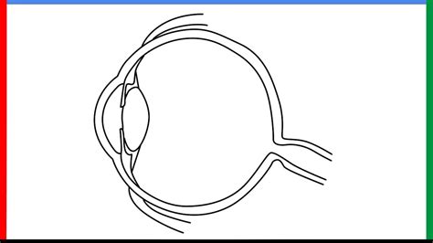 How to draw Human eye diagram Step by Step for Beginners - YouTube