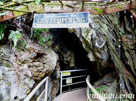 Gua Tempurung, Gopeng- From Emily To You