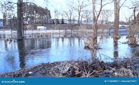 Flooding of River in Spring in Town during Melting of Snow. Natural ...