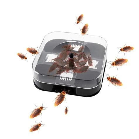 Cockroach Traps Box Cockroach Bug Roach Catcher Cockroach Killer | lupon.gov.ph