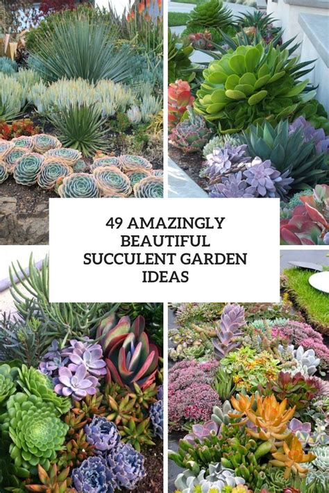 48 Amazingly Beautiful Succulent Garden Ideas - Shelterness