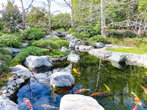 Balboa Park Gardens in San Diego: Why You Must Visit! - Roadtripping ...