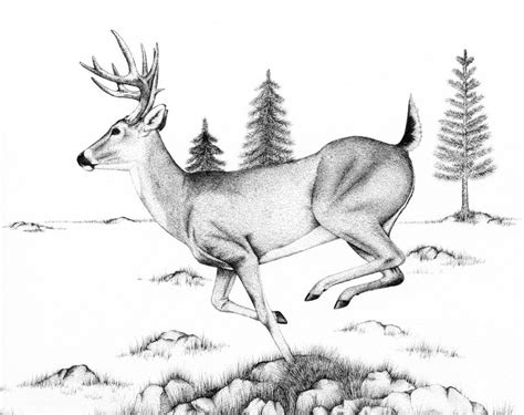 How To Draw Running Deer at How To Draw