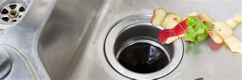 Garbage Disposal Maintenance Tips - Armbrust Plumbing & Heating