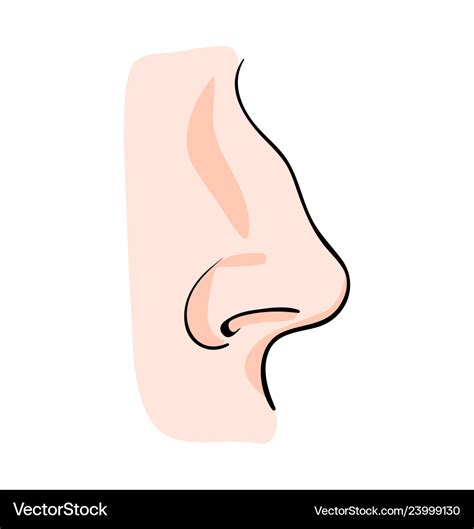 Cartoon nose symbol icon design beautiful Vector Image