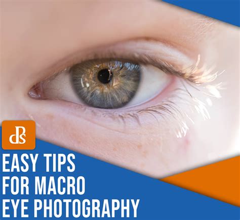 11 Tips for Beautiful Macro Eye Photography