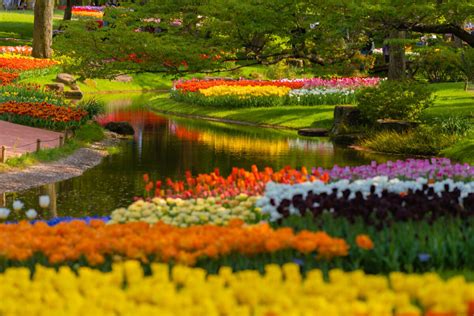 10 Flower Festivals near Tokyo April-May 2022 | Japan Wonder Travel Blog