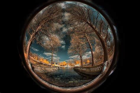 fisheye lens photos - Google Search | Fish eye lens, Lensbaby, Lens