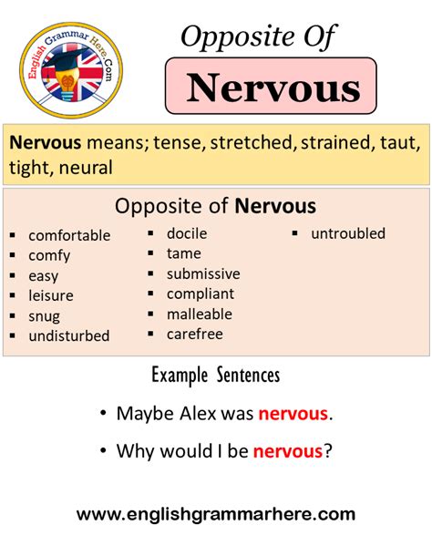 Opposite Of Nervous, Antonyms of Nervous, Meaning and Example Sentences ...