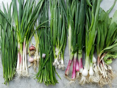 What Is the Difference Between Chives Vs Scallions - Recipes.net