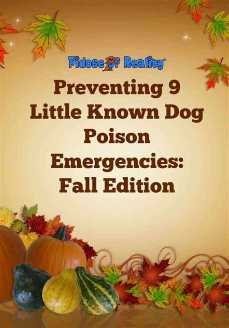 Preventing 9 Little Known Dog Poison Emergencies: Fall Edition - Fidose ...