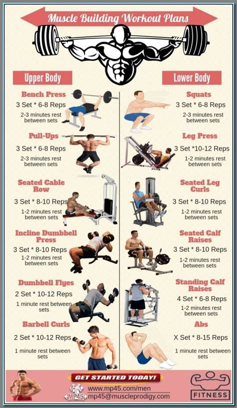 (ad) Best No-Equipment Home Workouts For Men | Muscle building workouts, Workout plan for men ...