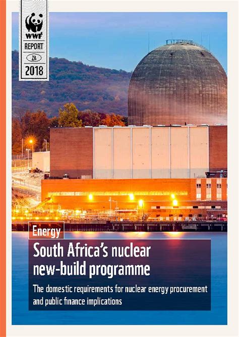 South Africa’s nuclear new-build programme: The domestic requirements ...