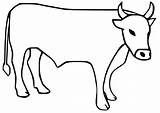 A Simple Ox Coloring Page  Free Printable Pages For Kids sketch template