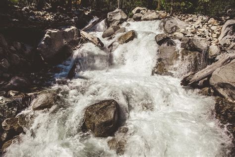 River Rapids Pictures | Download Free Images on Unsplash