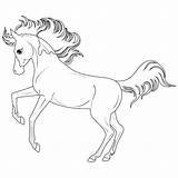 Best Horse Coloring Pages & Coloring Book 6000  coloring pages sketch template