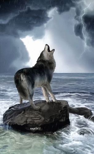 Wolf Howling GIF - Wolf Howling - Descubrir y compartir GIFs