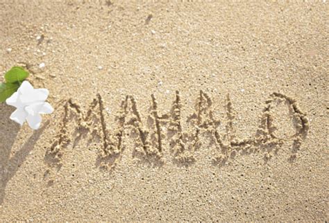 15 Fun Hawaiian Phrases -Learn How to Hang Loose and Take...