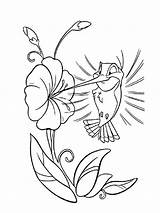 Hummingbird coloring pages sketch template