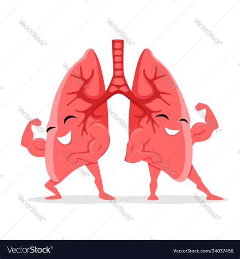 Healthy and strong lungs Royalty Free Vector Image