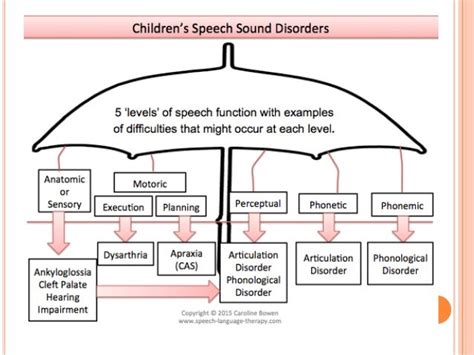 Speech sound disorders