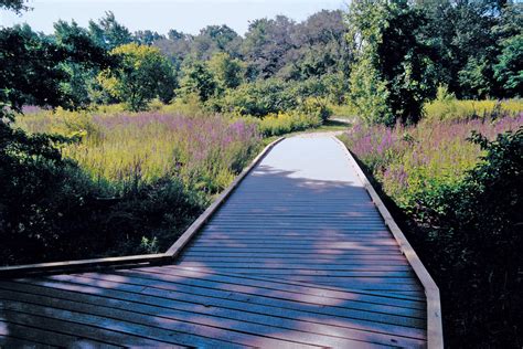 Boston Nature Center — Halvorson | Tighe & Bond Studio