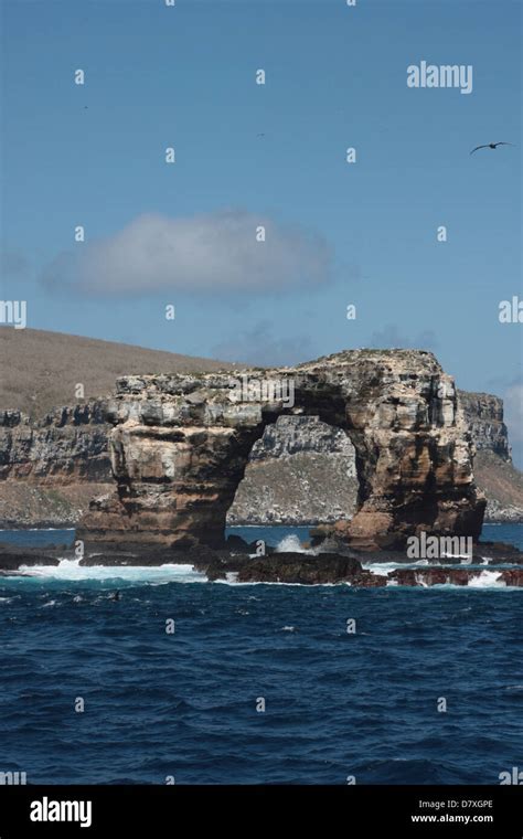 Darwin's Arch, Galapagos Islands Stock Photo - Alamy