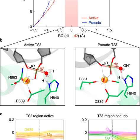 Free energy profiles for phosphodiester bond cleavage a, Free energy... | Download Scientific ...