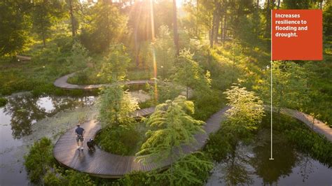 10 new projects in online exhibition demonstrate value of landscape architecture as a climate ...