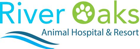 Veterinarian in Longwood, FL | River Oaks Animal Hospital