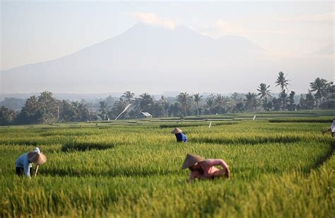 Temples & Volcanoes of Central Java, Indonesia | Ampersand Travel