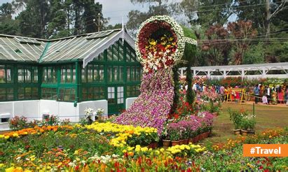 Rose Garden Ooty: Explore This Horticultural Haven