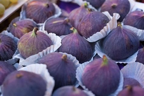 Purple Figs by Ursula Alter