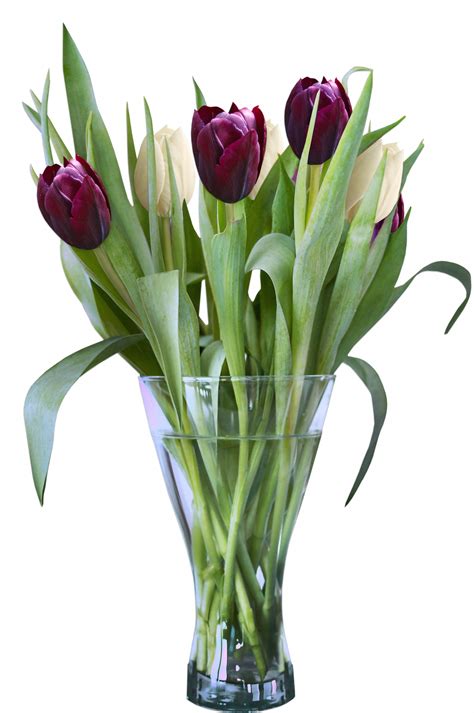 Bouquet Of Tulips Free Stock Photo - Public Domain Pictures