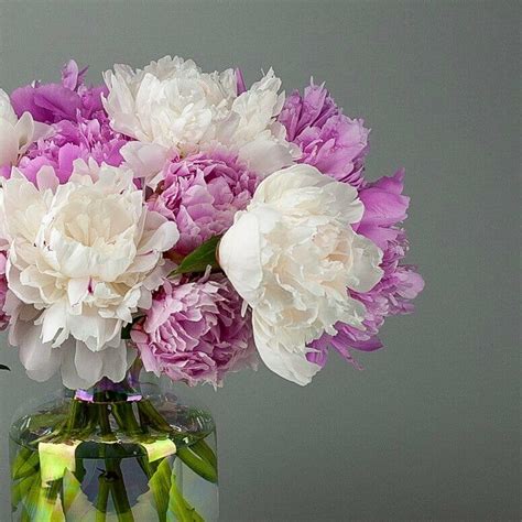 15 Best San Diego Flower Delivery Services - Petal Republic