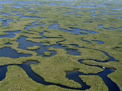 Everglades National Park Photos - National Geographic