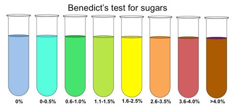 Benedict's reagent ~ Everything You Need to Know with Photos | Videos