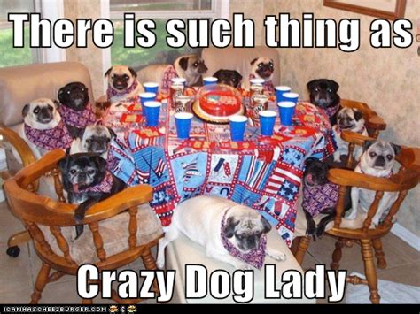 There is such thing as Crazy Dog Lady | Crazy dog lady, Dog lady and Crazy dog