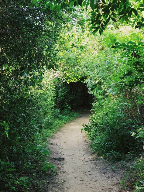 Memorial Park Trails : r/houston