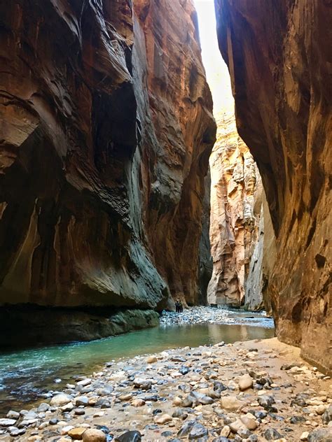 9 Things to Know for the Zion Narrows Hike - Travel Guide for Zion National Park | Around The ...