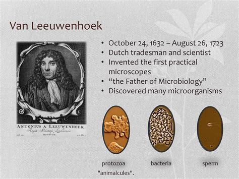 Anton Van Leeuwenhoek Discoveries