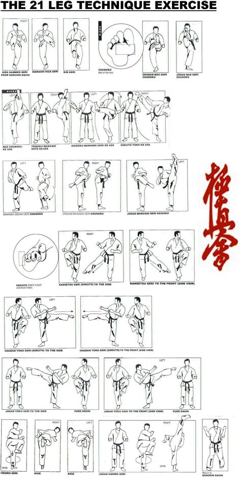 Kyokushin Karate Techniques