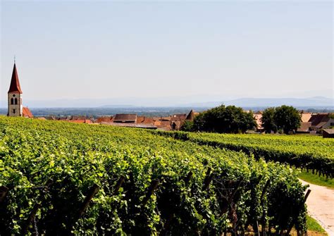 Alsace Wine Route Tours from Strasbourg - 2020 Travel Recommendations | Tours, Trips & Tickets ...